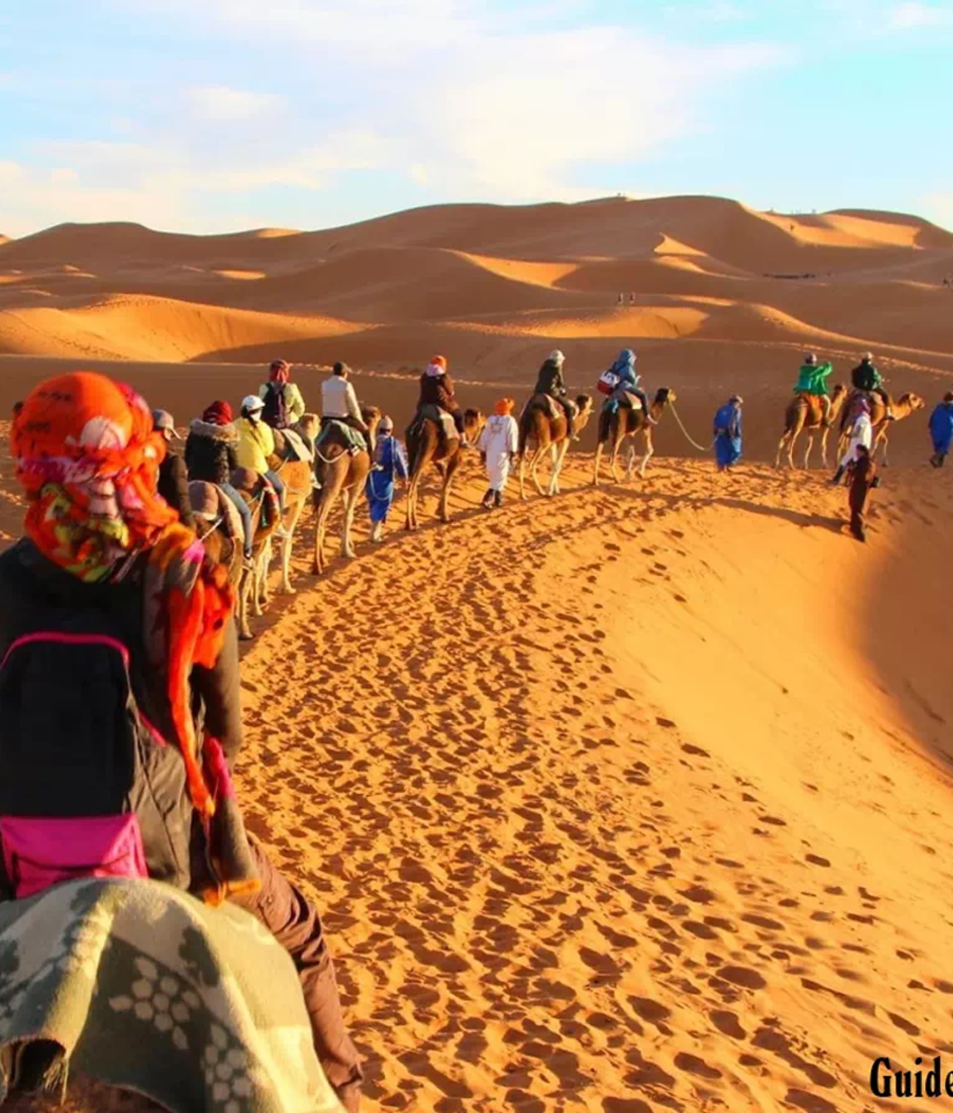 Zayed Travel